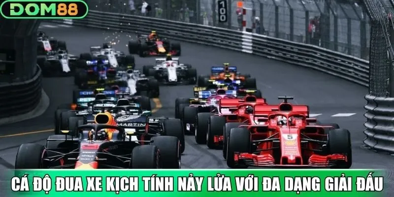 Cá độ đua xe kịch tính nảy lửa với đa dạng giải đấu