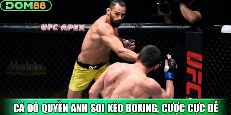 Cá độ Quyền Anh soi kèo boxing, cược cực dễ
