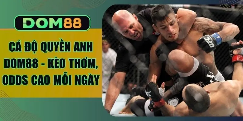 Cá Độ Quyền Anh Dom88 - Kèo Thơm, Odds Cao Mỗi Ngày