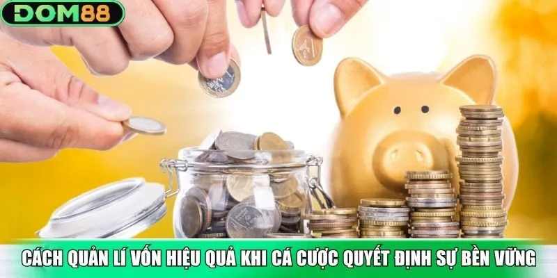 Cách quản lí vốn hiệu quả khi cá cược quyết định sự bền vững