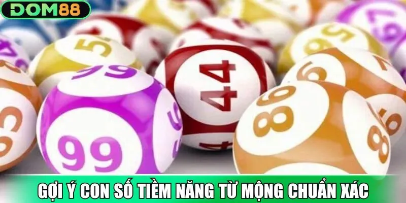 Gợi ý con số tiềm năng từ mộng cực chuẩn xác