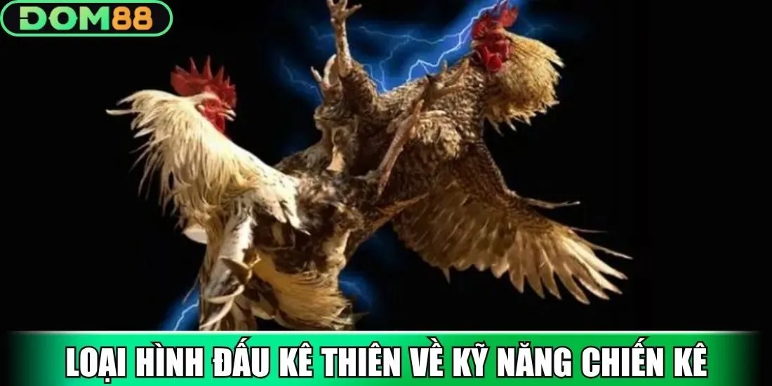 Loại hình đấu kê thiên về kỹ năng chiến kê