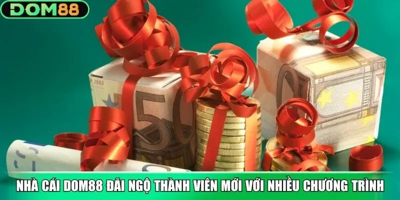 Nhà cái Dom88 đãi ngộ thành viên mới với nhiều chương trình
