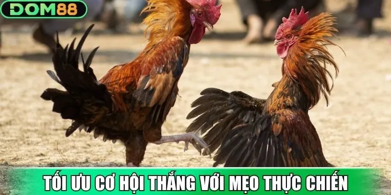 Tối ưu cơ hội thắng với mẹo thực chiến