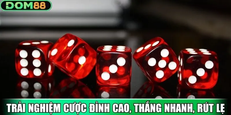 Trải nghiệm cược đỉnh cao, thắng nhanh, rút lẹ