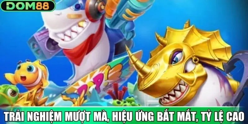 Trải nghiệm mượt mà, hiệu ứng bắt mắt, tỷ lệ cao