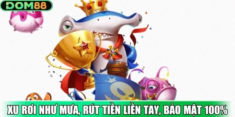 Xu rơi như mưa, rút tiền liền tay, bảo mật 100%